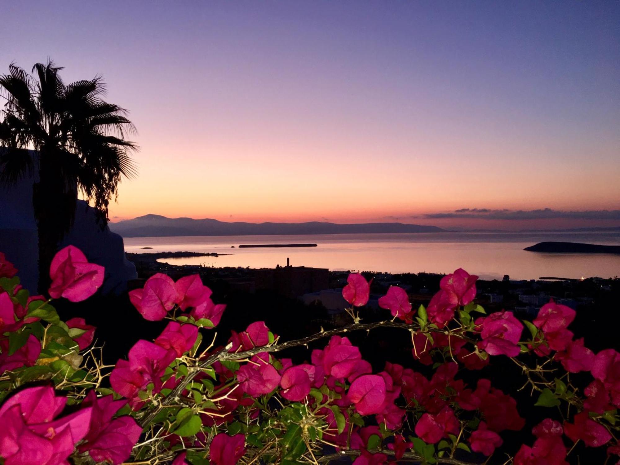 Villa Rossi Paros Luxury Apartments And Suites Drios Ngoại thất bức ảnh